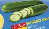 Cucumber