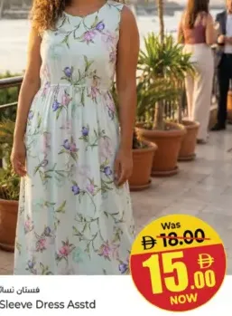 Ladies Cut Sleeve Dress Assorted