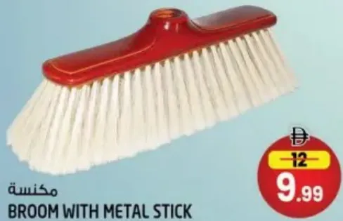 Broom With Metal Stick