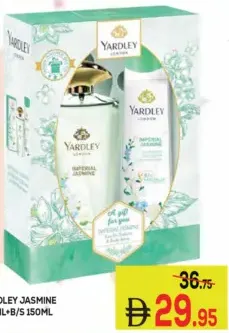 Yardley ياسمين