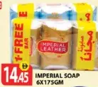 Imperial Leather Soap