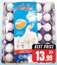Al Fayoum Royal White EGG