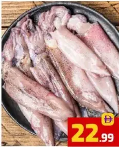 Squid Fish (Fresh)