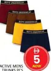 Active Mens Trunks