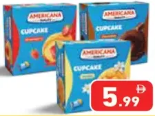 Americana Filled Cupcake Strawberry/Chocolate/Vanilla