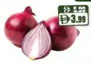 بصل أحمر