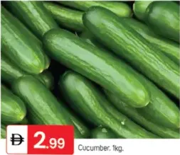 Cucumber