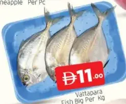 Vattapara Fish Big