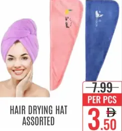Hair Drying Hat Assorted