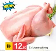 دجاج طازج