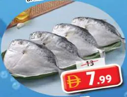Cd Mullen