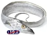 Belt Fish