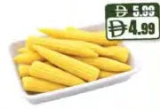 ذرة صغيرة