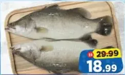 Arabian Seabass Defrosted