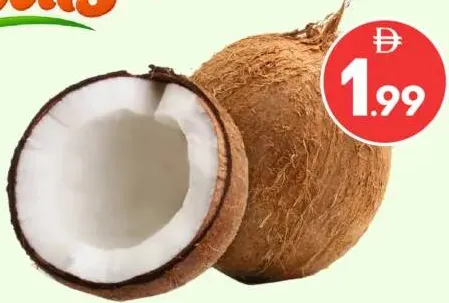 Hard Coconut