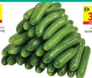 Cucumber