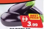 bygon كبير