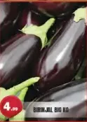 باذنجان كبير