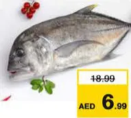 سمك بارا أسود كامل