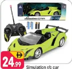 Simulation r/c car