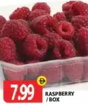 Raspberry