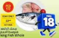 Kingfish Whole