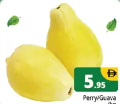 PERRY / جوافة