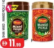 Shan Pickle Mixed /Mango