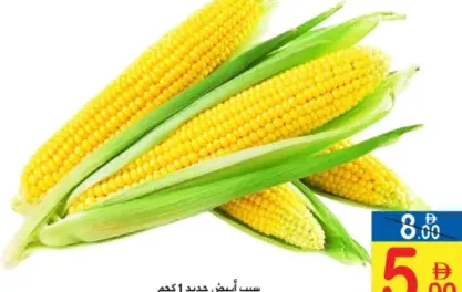 Fresh Sweet Corn