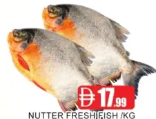 Nutter Fresh Fish
