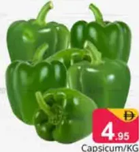 Capsicum