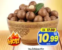 Macadamia In Shell