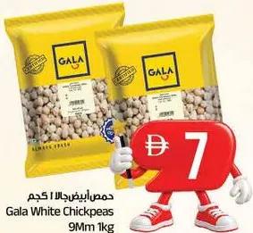 Gala حمص أبيض 9Mm