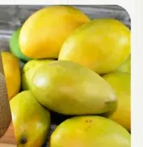Mango Egypt