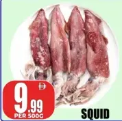 Squid