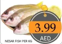 سمك nesar