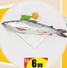 Cat Fish