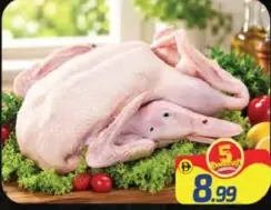لحم بط