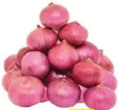 Onion India