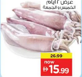 Squid Fresh Big