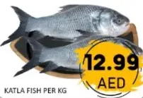 Katla Fish