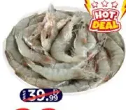 Shrimp 30/40