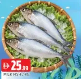 Milk Fish