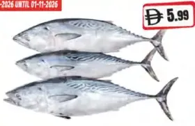 Tuna Fish
