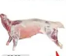 Mutton Fresh India