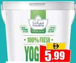 Hayatna Yoghurt Full Fat