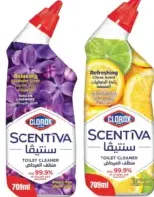 Clorox Toilet Cleaner