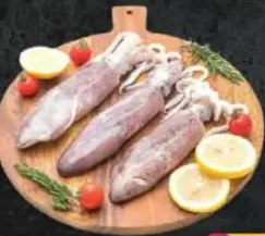 Fresh Squid Big