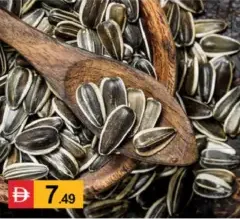 Sunflower Seed Black