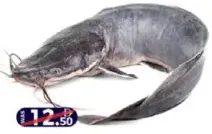 Cat Fish